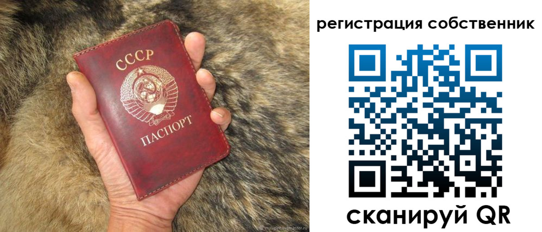прописка 2025 в Южно-Сахалинске